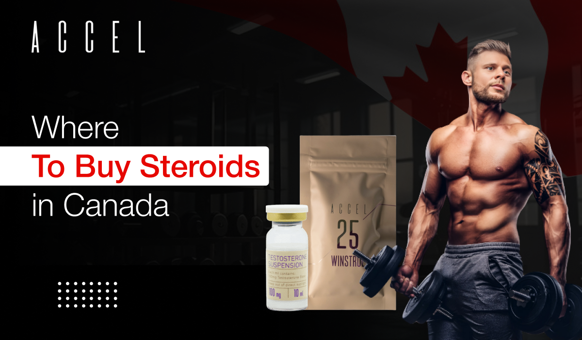Where To Buy Steroids in Canada