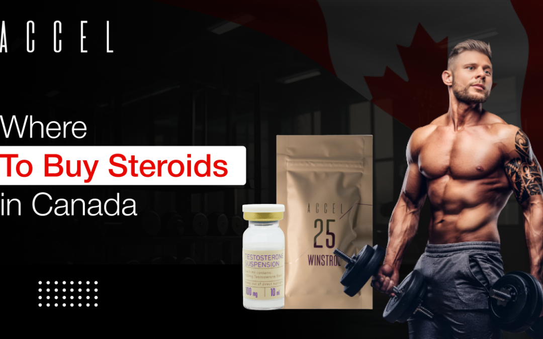 Where To Buy Steroids in Canada: A Practical Guide for Bodybuilders