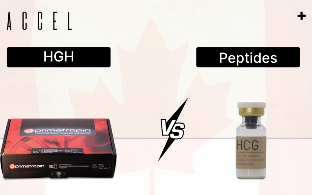 HGH VS. Peptide: Decoding the Best Choice from Gym Gains to Youthful Glow