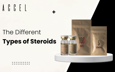 TYPES OF STEROIDS YOU SHOULD KNOW ABOUT AND HOW THEY AFFECT YOU
