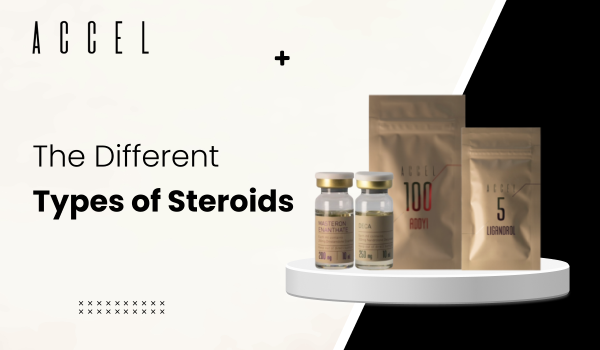 TYPES OF STEROIDS