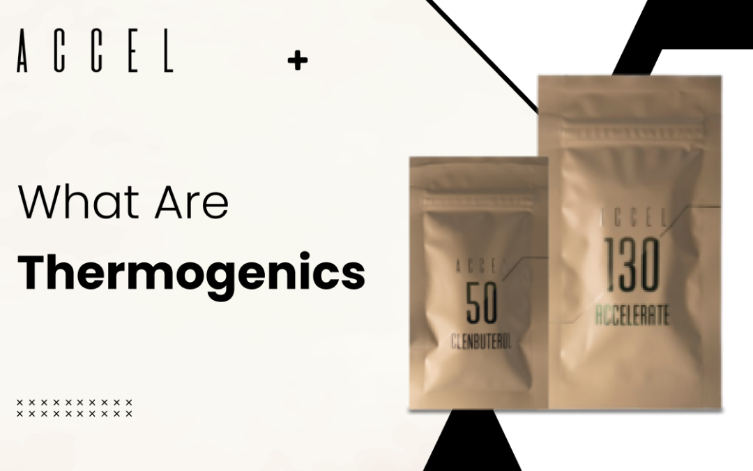 WHAT ARE THERMOGENICS? A COMPLETE GUIDE TO THERMOGENIC SUPPLEMENTS