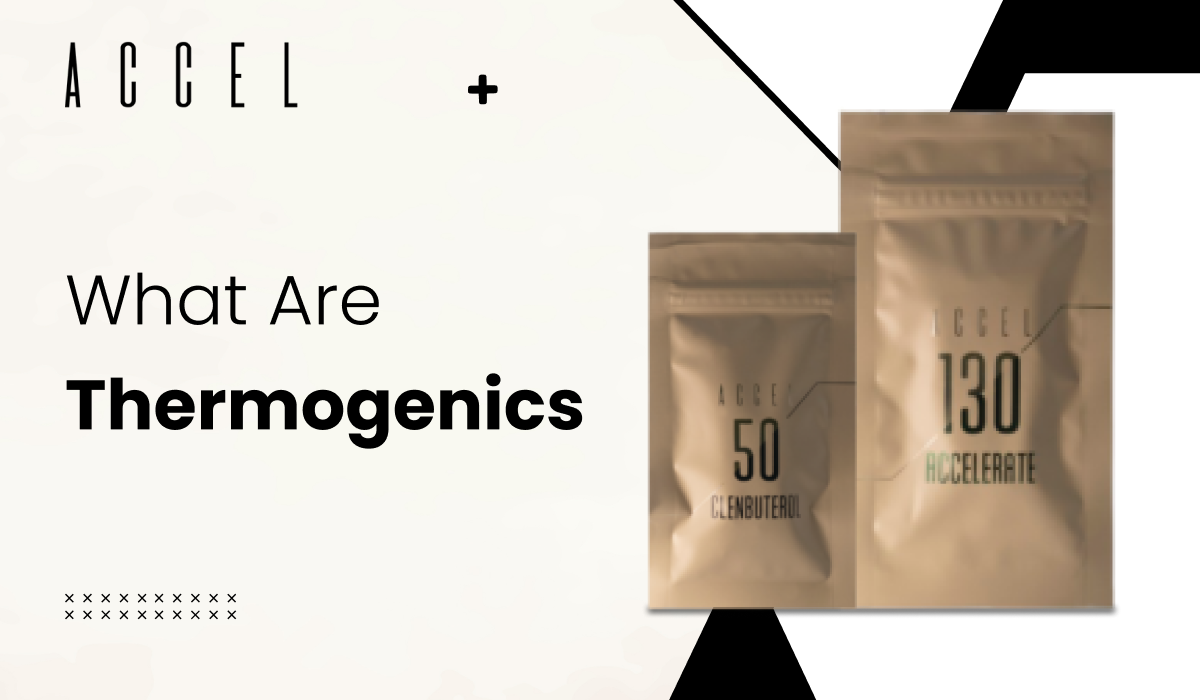 What Are Thermogenics