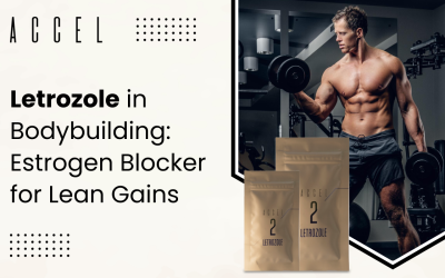 LETROZOLE FOR BODYBUILDING: THE ULTIMATE GUIDE TO ESTROGEN CONTROL