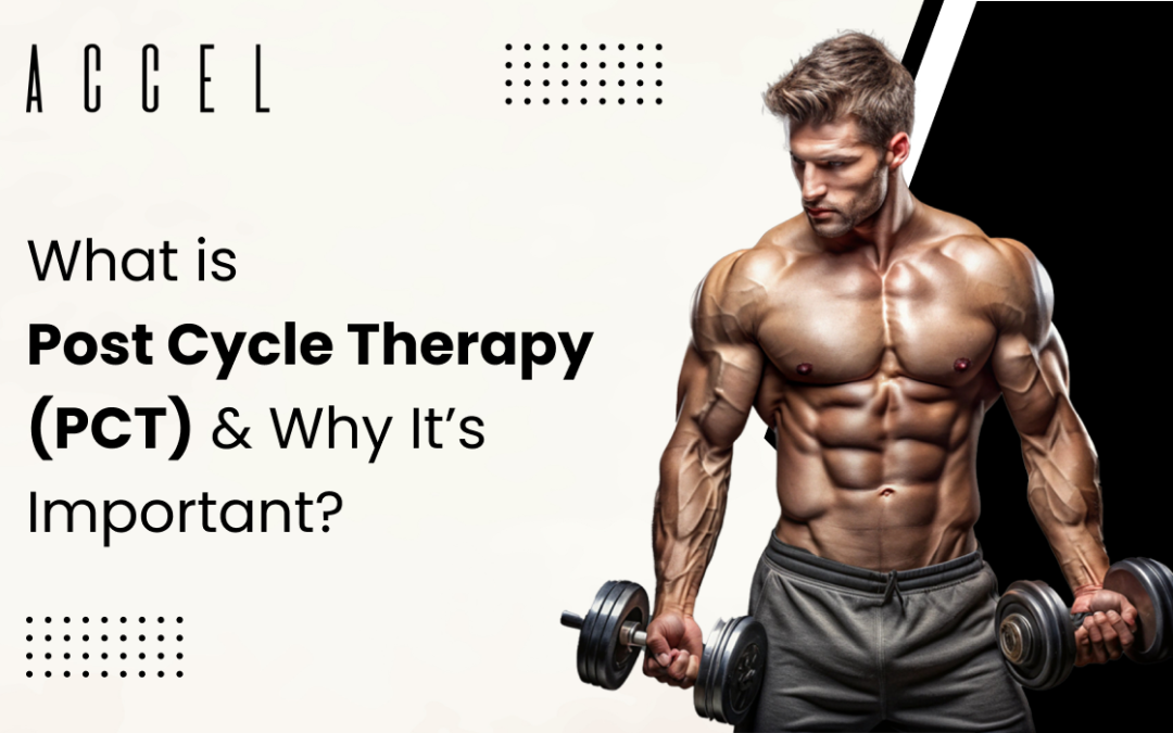 WHAT IS POST-CYCLE THERAPY? A COMPREHENSIVE GUIDE 