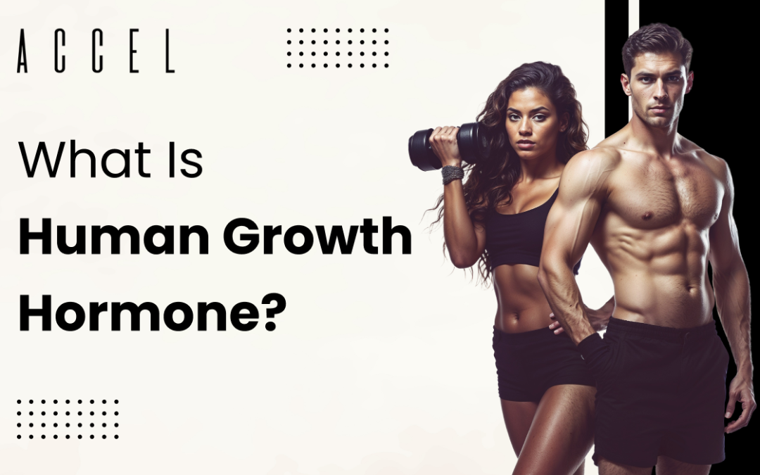 WHAT IS HUMAN GROWTH HORMONE? YOUR COMPREHENSIVE GUIDE TO GROWTH HORMONE