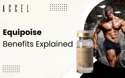 UNLOCKING THE POWER OF EQUIPOISE BENEFITS FOR BODYBUILDING
