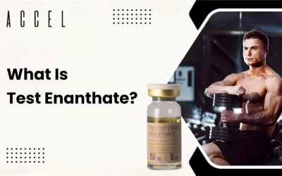 Test Enanthate: Half-Life, Uses, and Bodybuilding Benefits Explained