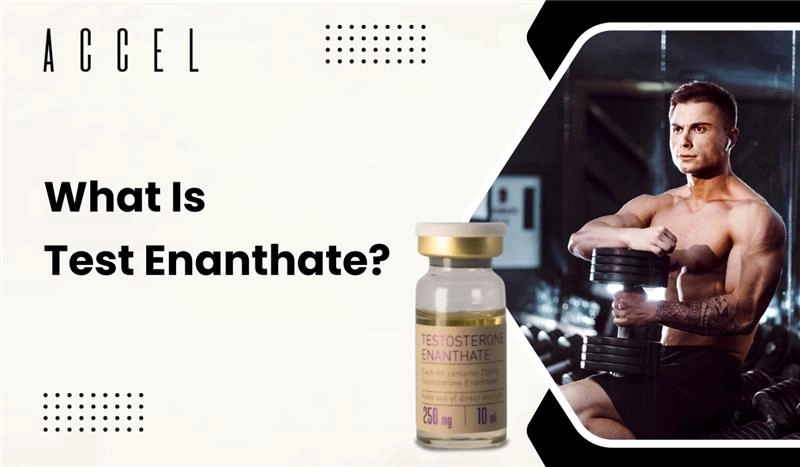 Test Enanthate: Half-Life, Uses, and Bodybuilding Benefits Explained