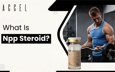 What Is NPP Steroid? Uses, Benefits, Side Effects & NPP vs Deca Explained