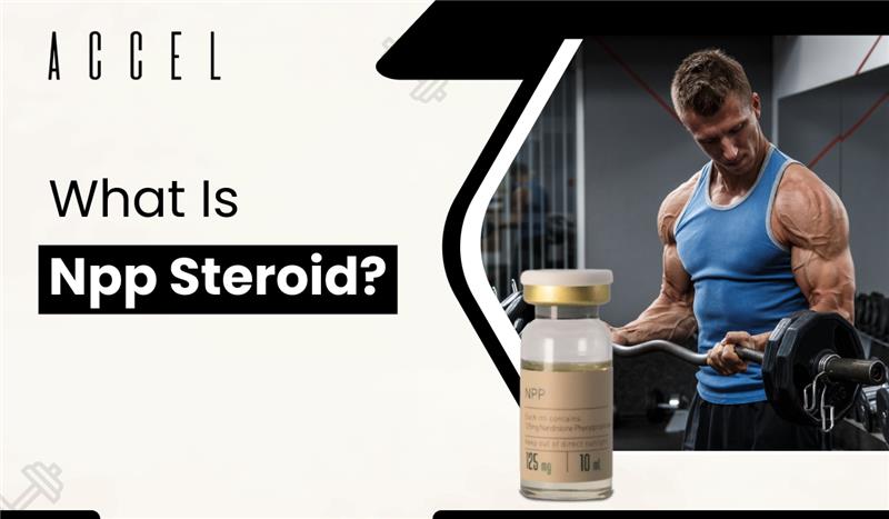 What Is NPP Steroid? Uses, Benefits, Side Effects & NPP vs Deca Explained