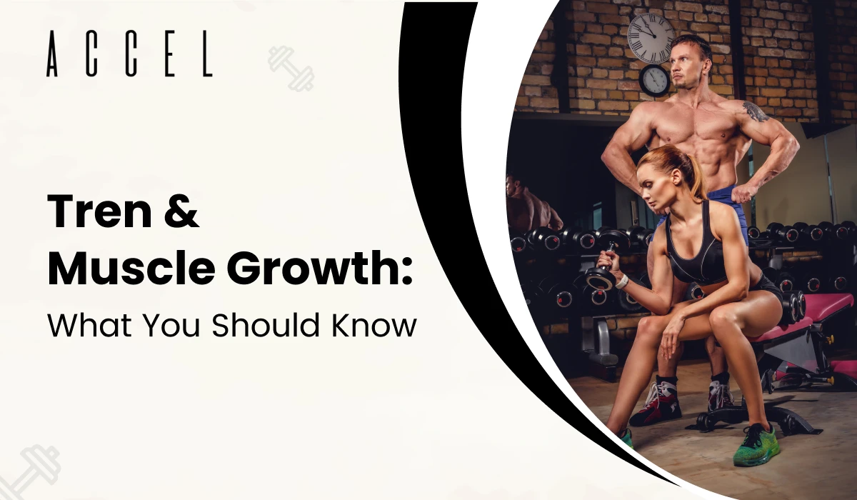 tren and muscle growth