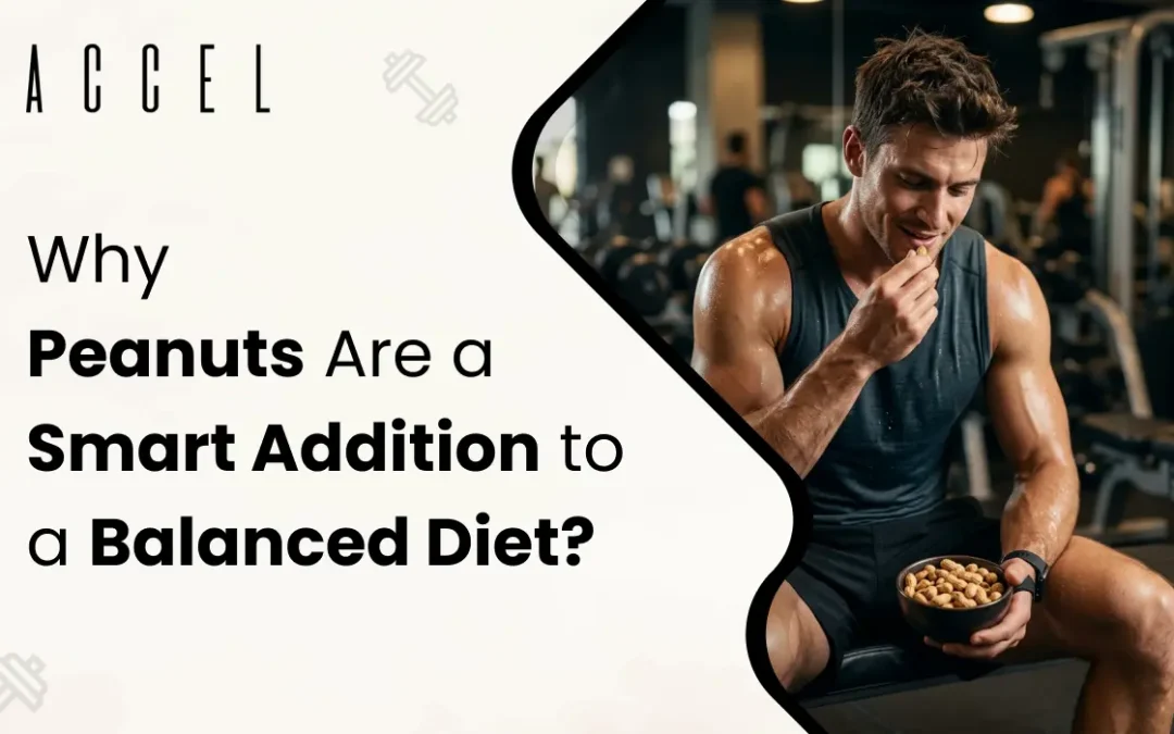 Why Peanuts Deserve a Spot in Your Daily Diet: Small Snack, Big Nutrition