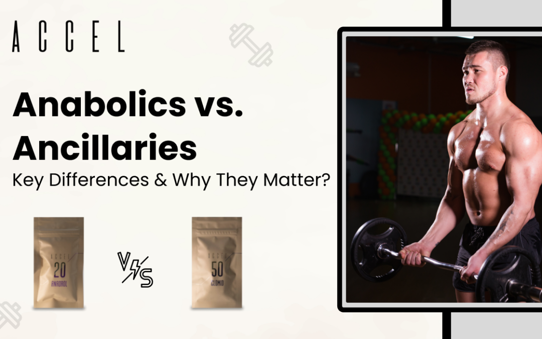 Anabolics vs Ancillaries: Understanding the key differences and the importance of both compounds