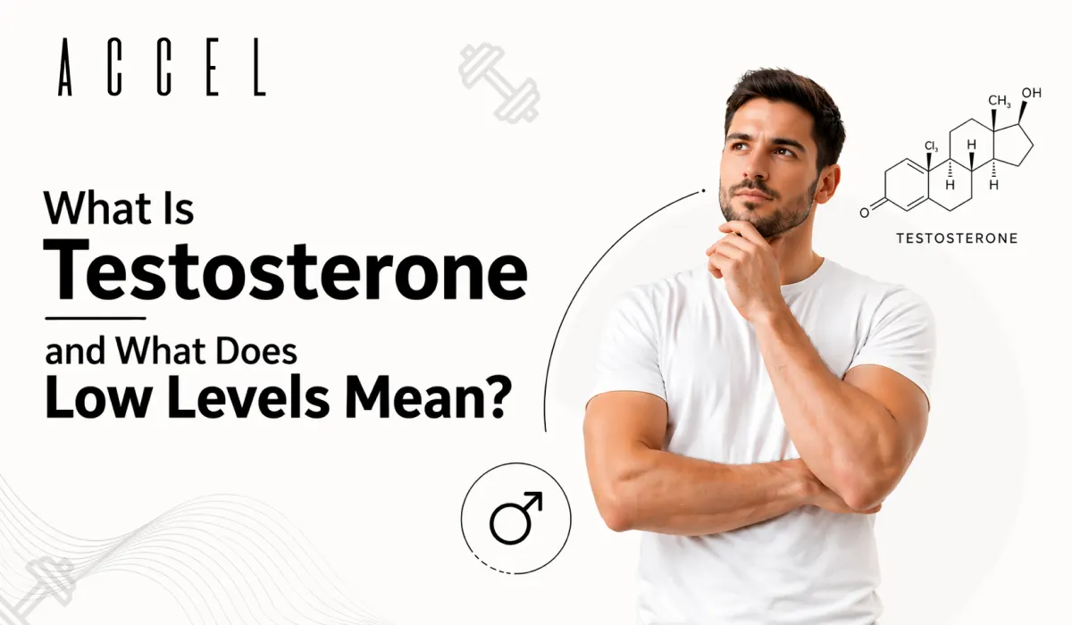 Testosterone Testosterone