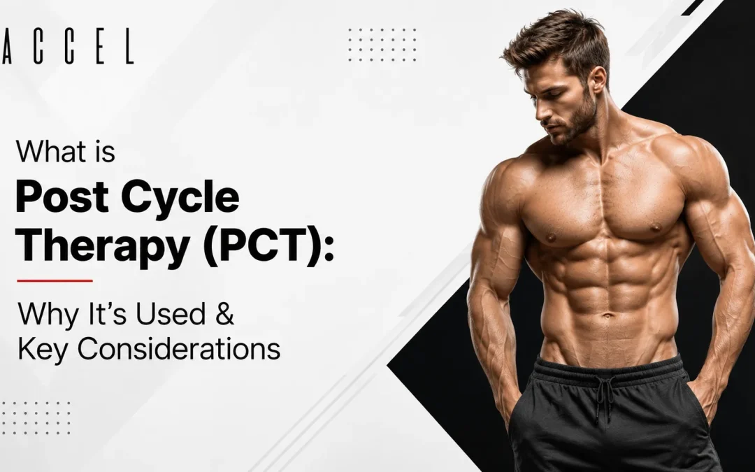 Post Cycle Therapy (PCT): What It Is, Why It’s Used & Key Considerations