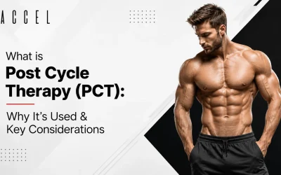 Post Cycle Therapy (PCT): What It Is, Why It’s Used & Key Considerations