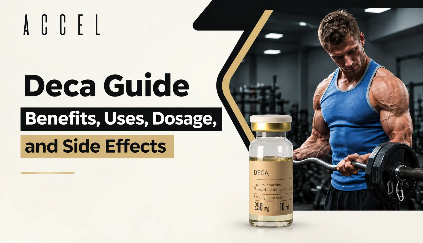 deca guide