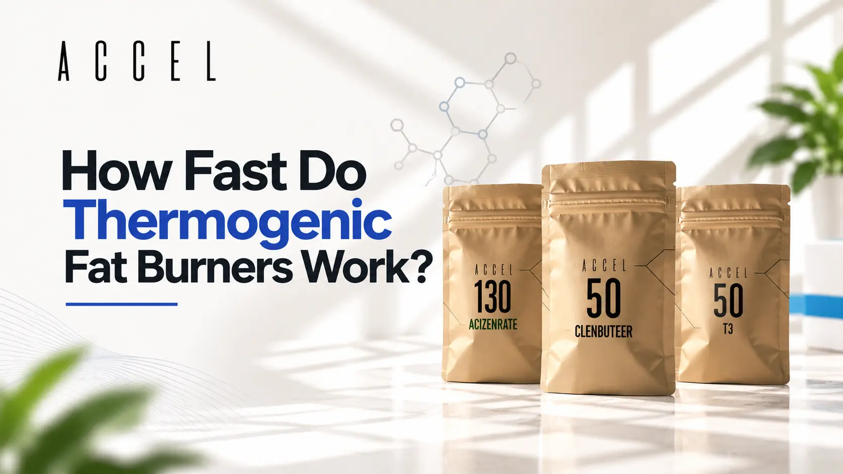 Thermogenic Fat Burner Guide